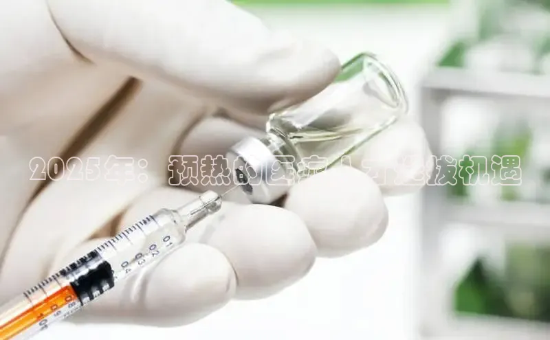 v体育app入口网页版