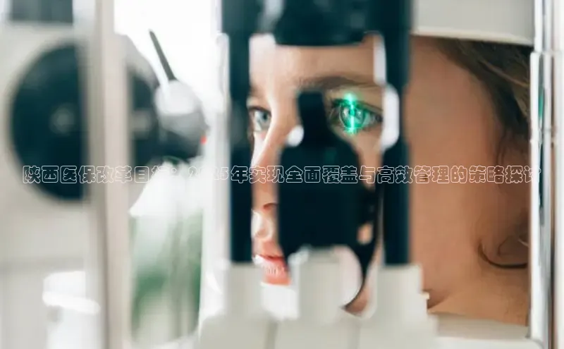 V·体育官方网站