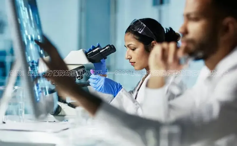 V体育网页版入口