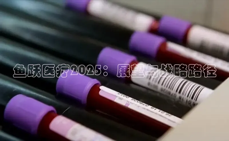 vsport体育最新消息