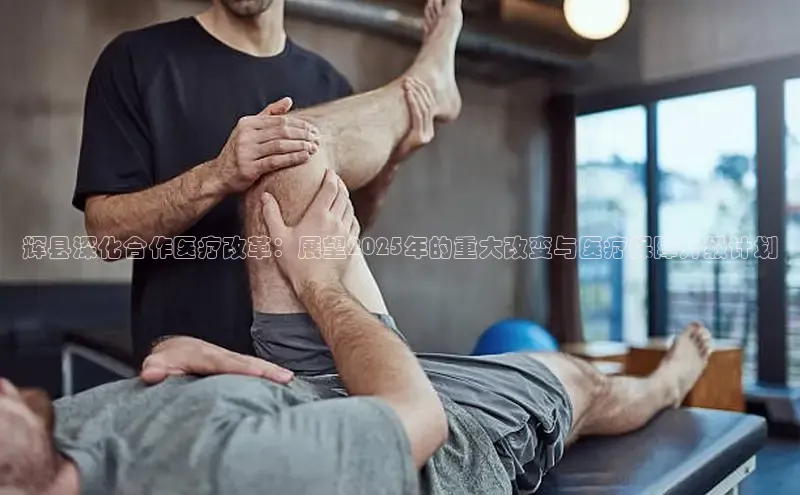 vsports官网入口